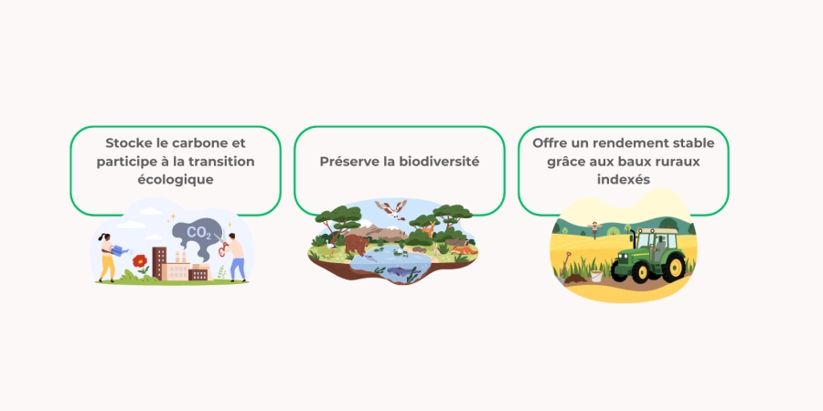 STOCKE LE CARBONE ET PARTICIPE À LA TRANSITION ÉNERGÉTIQUE ; PRÉSERVE LA BIODIVERSITÉ, OFFRE UN RENDEMENT STABLE GRÂCE UX BAUX RURAUX INDEXÉS